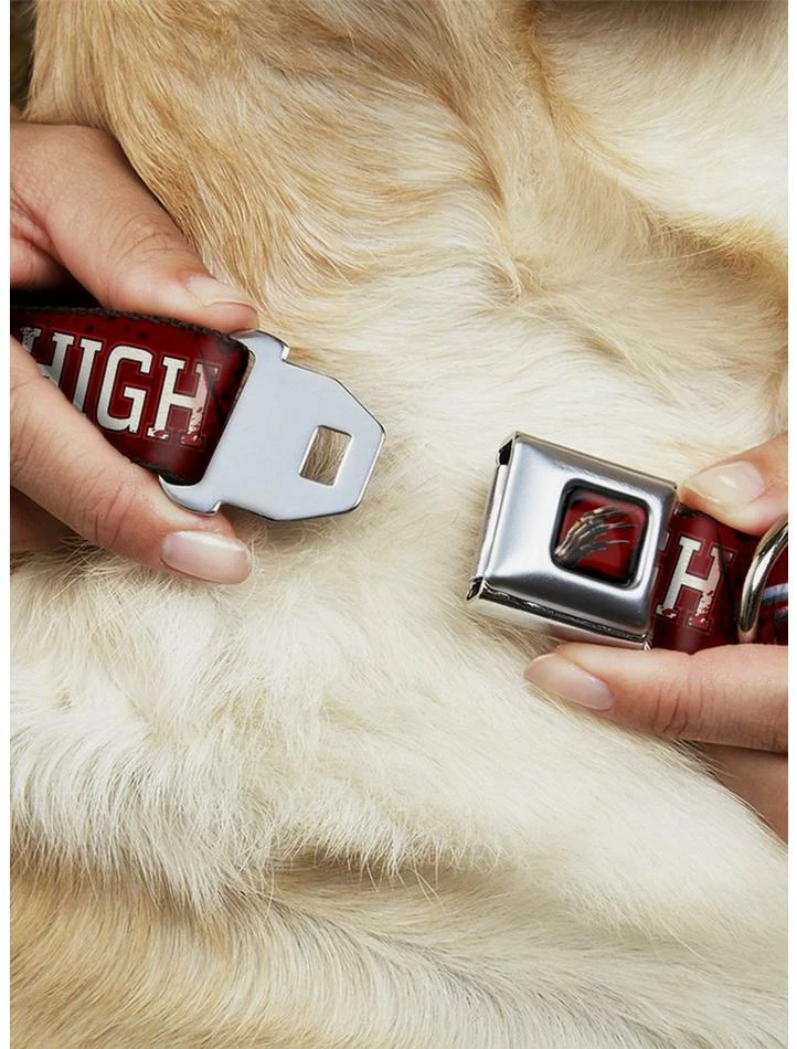 Hot Sale 𧨠A Nightmare on Elm Street Springwood High Seatbelt Buckle π Dog Collar βοΈ - Image 2