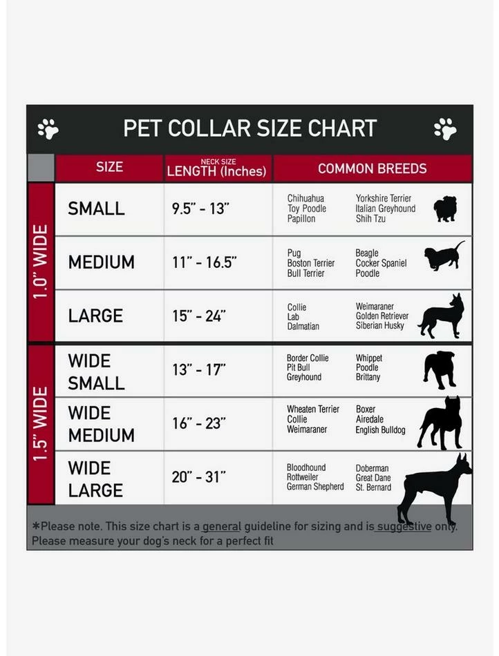 Hot Sale 𧨠A Nightmare on Elm Street Springwood High Seatbelt Buckle π Dog Collar βοΈ - Image 3